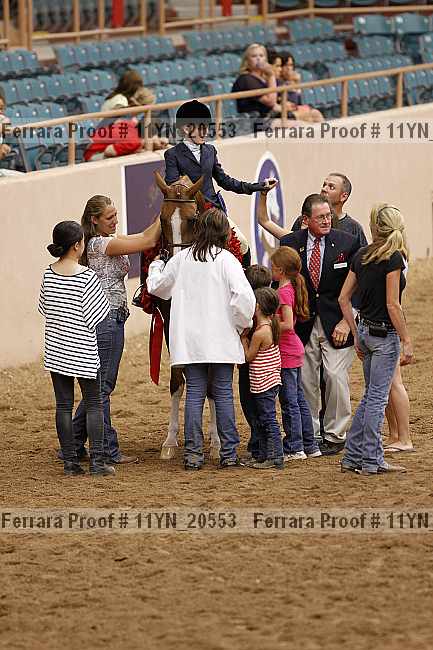 Proof 11yn_20553