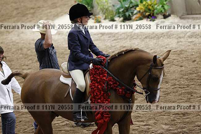 Proof 11yn_20558