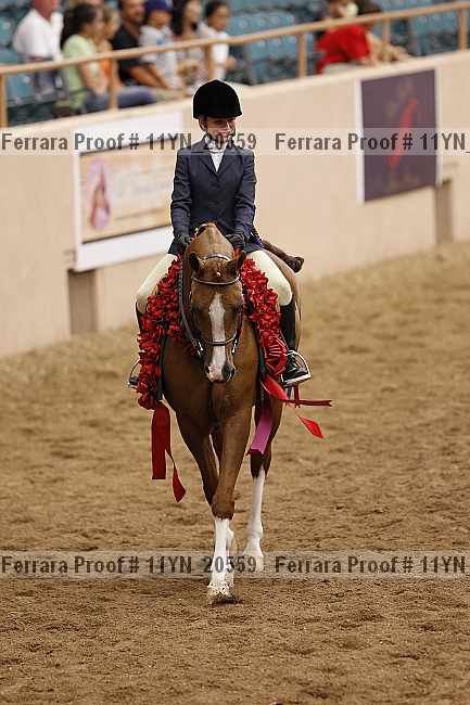 Proof 11yn_20559