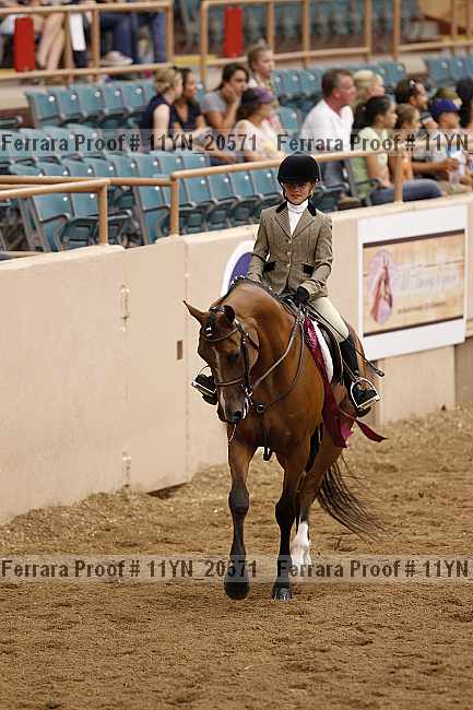 Proof 11yn_20571