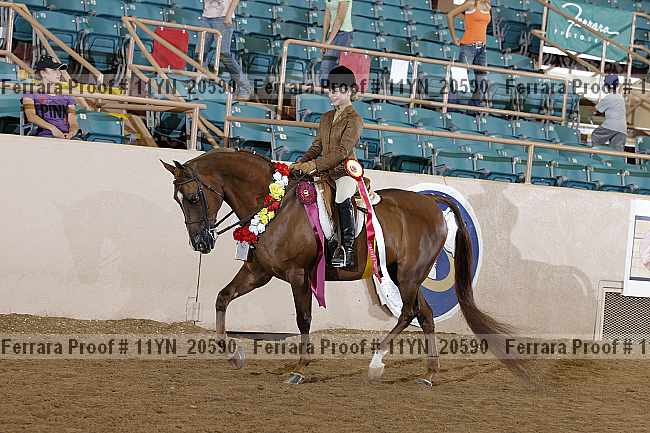 Proof 11yn_20590