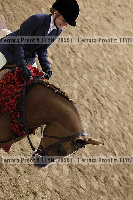 Proof 11yn_20597