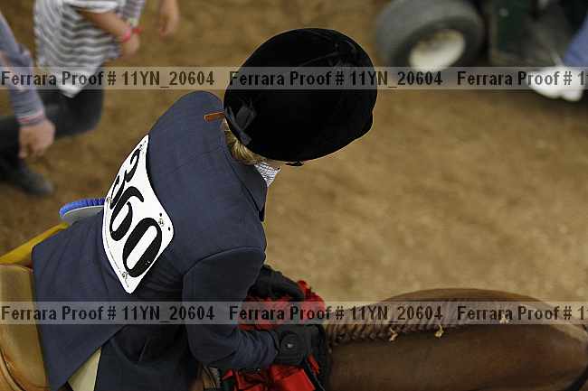 Proof 11yn_20604