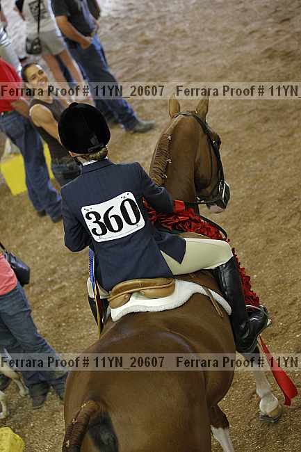 Proof 11yn_20607