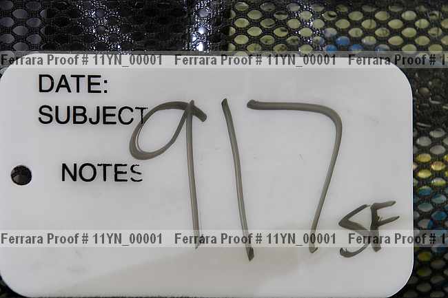 Proof 11yn_00001