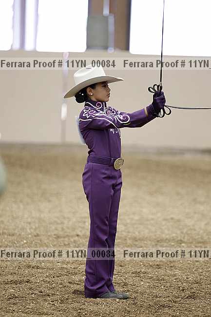 Proof 11yn_00084