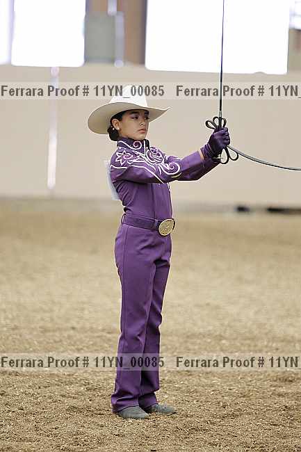 Proof 11yn_00085