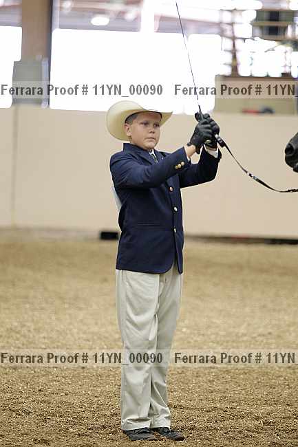 Proof 11yn_00090