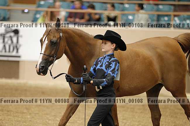 Proof 11yn_00108