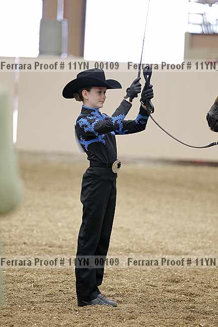 Proof 11yn_00109