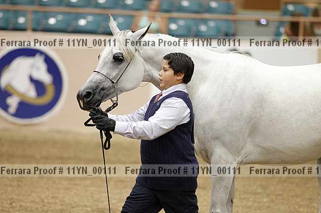 Proof 11yn_00111