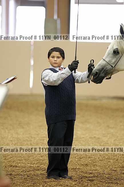 Proof 11yn_00112