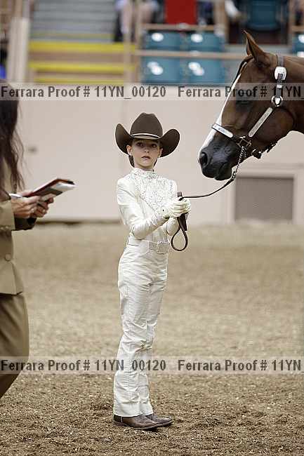 Proof 11yn_00120