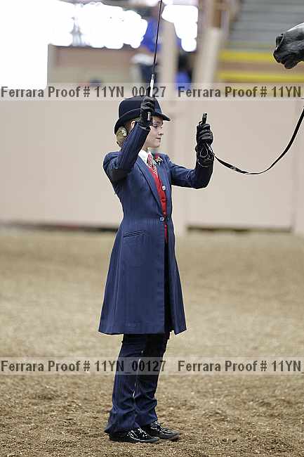 Proof 11yn_00127