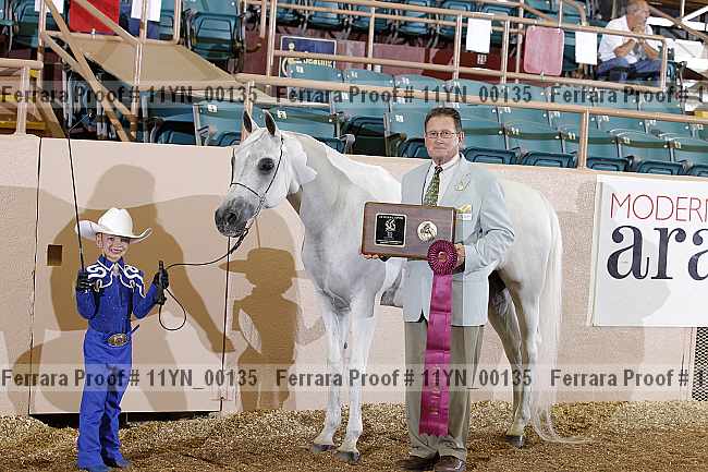 Proof 11yn_00135