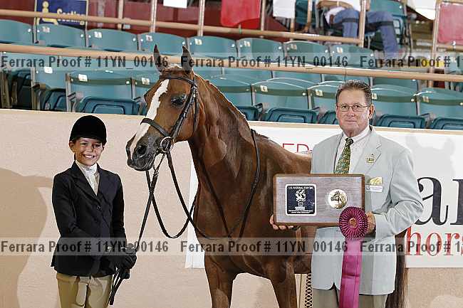 Proof 11yn_00146