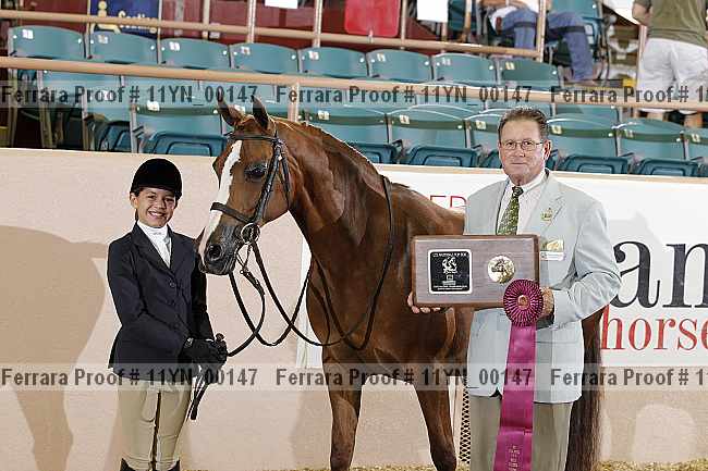 Proof 11yn_00147