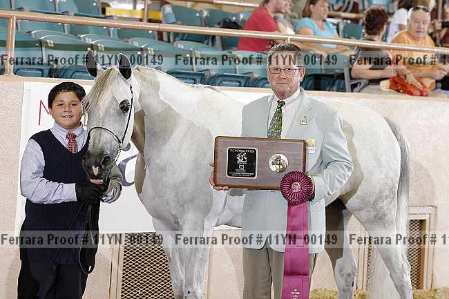 Proof 11yn_00149