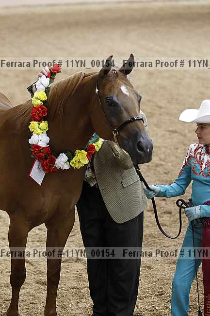 Proof 11yn_00154