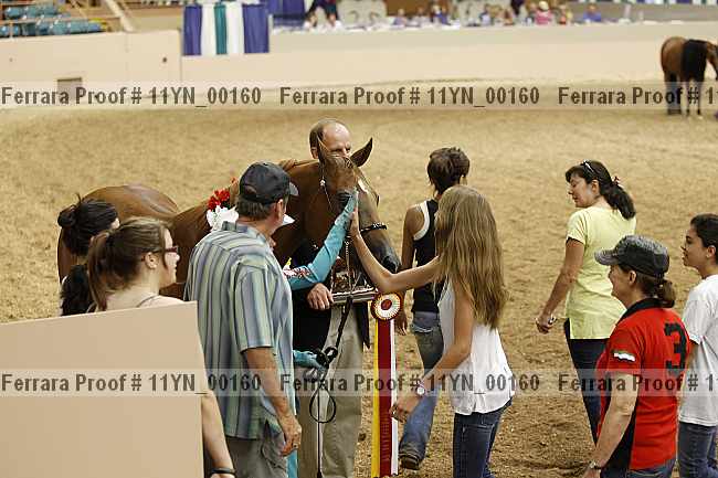 Proof 11yn_00160