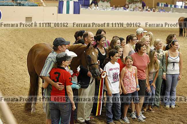Proof 11yn_00162