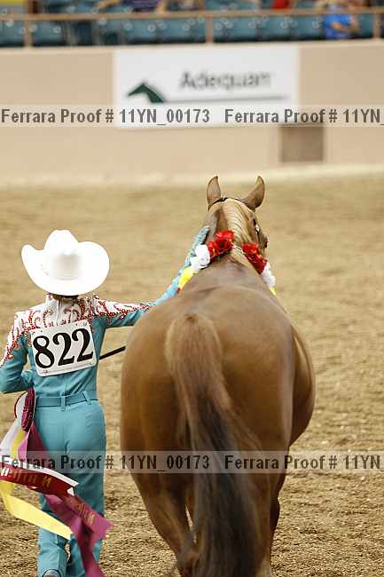 Proof 11yn_00173