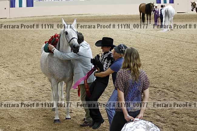 Proof 11yn_00177