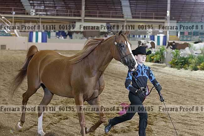 Proof 11yn_00195