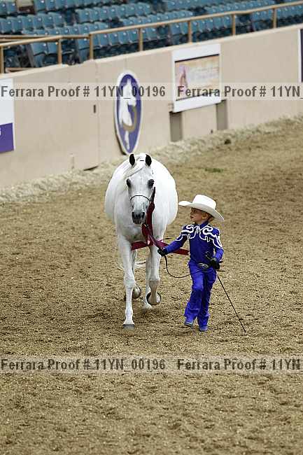 Proof 11yn_00196