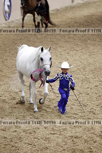 Proof 11yn_00199