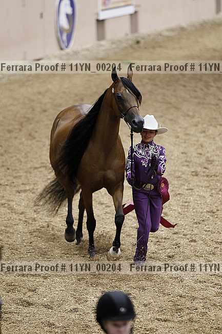 Proof 11yn_00204