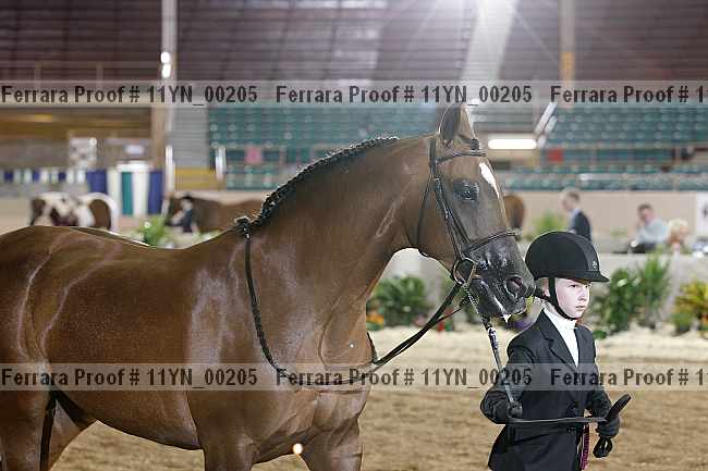 Proof 11yn_00205