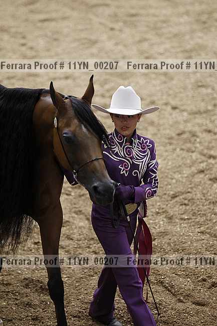 Proof 11yn_00207