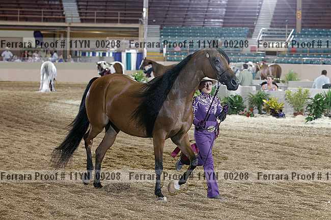 Proof 11yn_00208