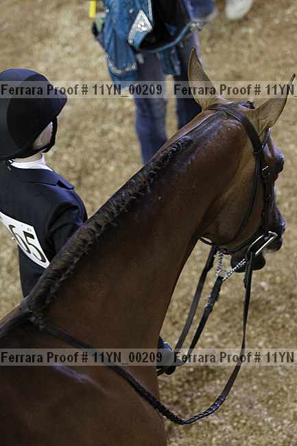 Proof 11yn_00209