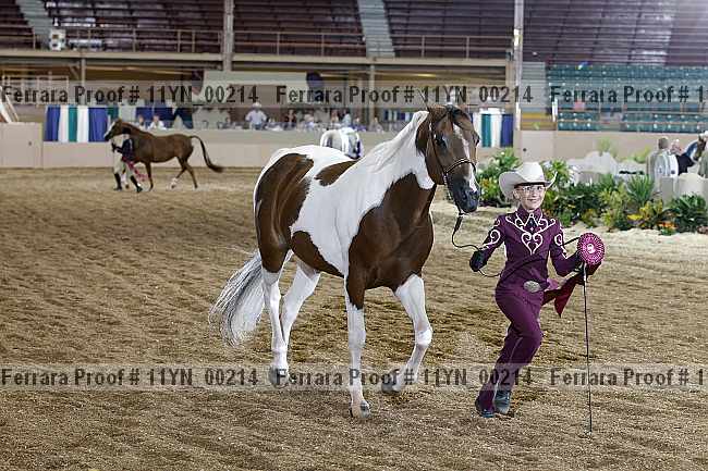 Proof 11yn_00214