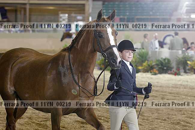 Proof 11yn_00219