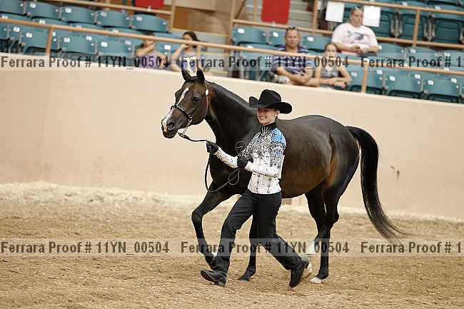 Proof 11yn_00504