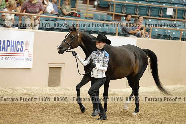 Proof 11yn_00505