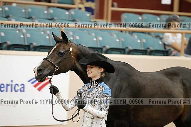 Proof 11yn_00506