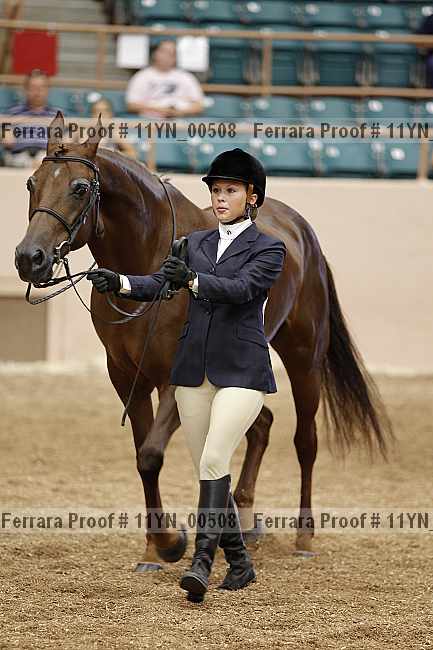 Proof 11yn_00508