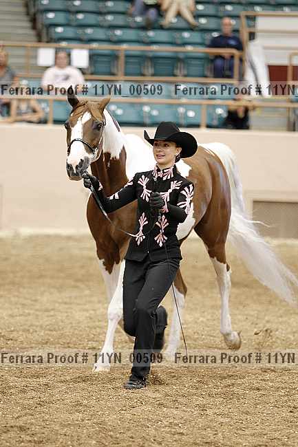 Proof 11yn_00509
