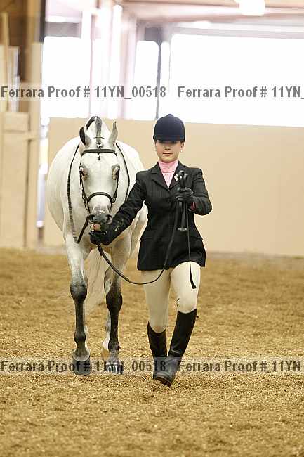 Proof 11yn_00518