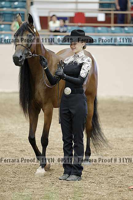 Proof 11yn_00519
