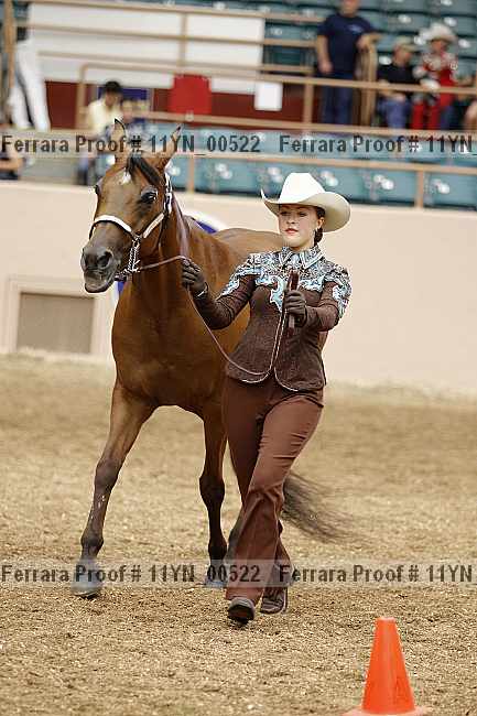 Proof 11yn_00522