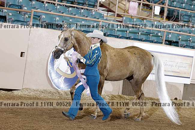 Proof 11yn_00528