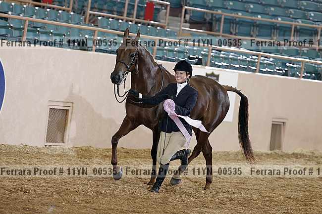 Proof 11yn_00535