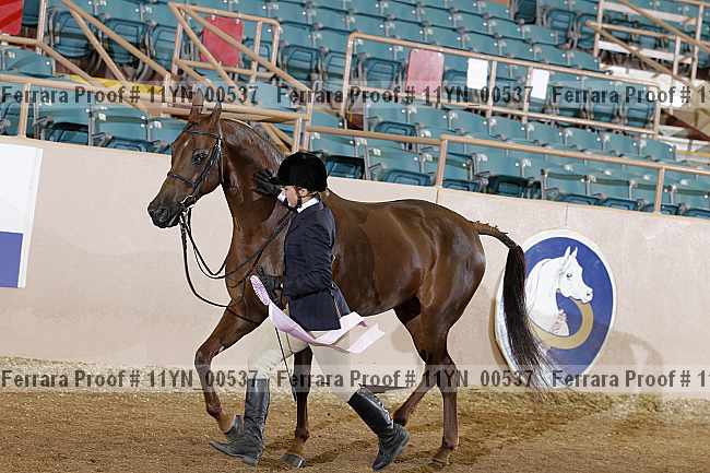 Proof 11yn_00537