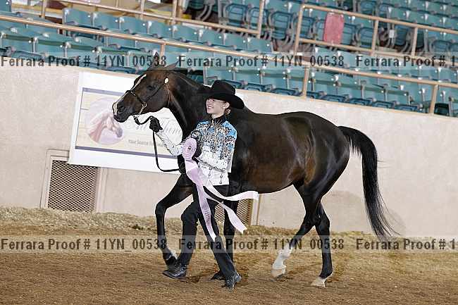 Proof 11yn_00538
