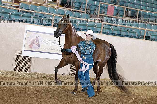 Proof 11yn_00539
